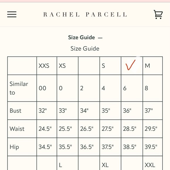 Rachel Parcell Flared Puff Sleeve Organza Mini Dress - Picture 15 of 15